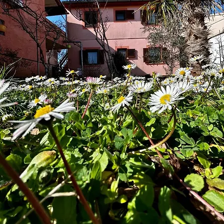 Elentoni Apartament *