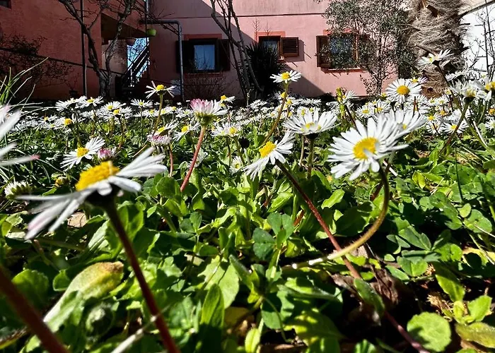 Elentoni Διαμέρισμα *